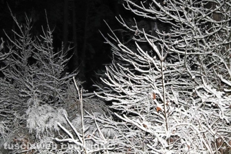 La neve di notte sui Cimini