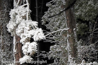 La neve di notte sui Cimini