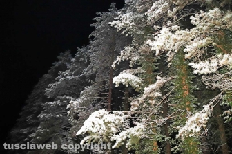 La neve di notte sui Cimini