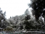 La neve imbianca Viterbo