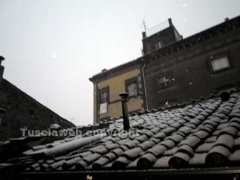 La neve imbianca Viterbo