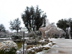 La neve imbianca Viterbo