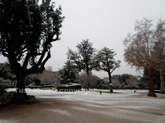 La neve imbianca Viterbo