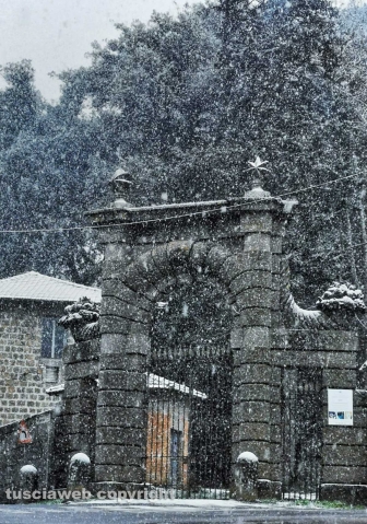 Neve a Ronciglione - Foto di una lettrice, Federica Guarino