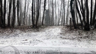 Neve sulla Cimina