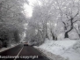 La neve sui Cimini