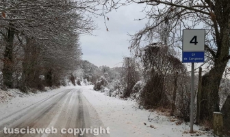 Maltempo - La neve sui Cimini - La strada provinciale Canepinese imbiancata