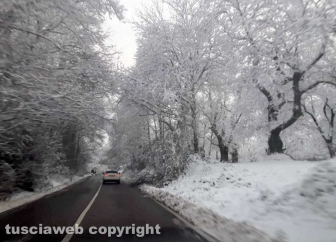 Maltempo - La neve sui Cimini - La strada Cimina - Neve