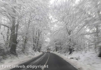 Maltempo - La neve sui Cimini - La strada Cimina - Neve