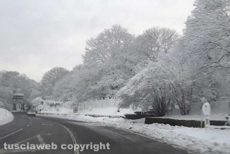 Maltempo - La neve sui Cimini - La strada Cimina - Neve