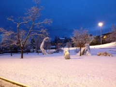 La neve sulla Città dei papi - Massimiliano Capo