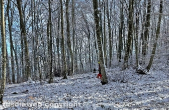 La neve sulla Faggeta