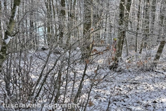 La neve sulla Faggeta