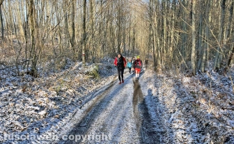 La neve sulla Faggeta