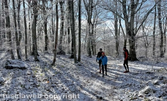La neve sulla Faggeta