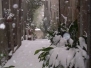 La nevicata vista dai lettori