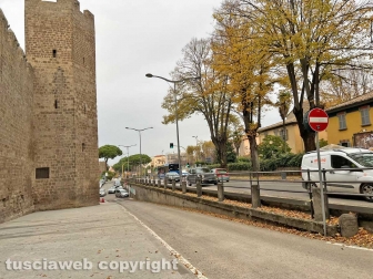 La passeggiata ecologica a porta della Verità