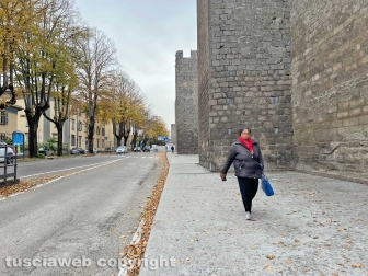 La passeggiata ecologica a porta della Verità