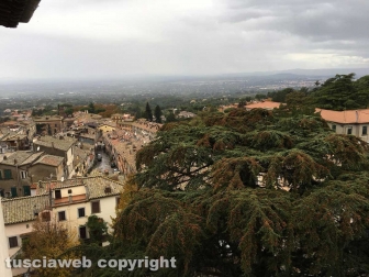 La passeggiata "Tobia - San Martino al Cimino olio e vino"