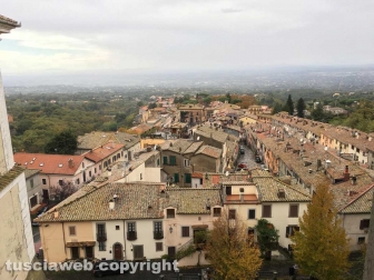 La passeggiata "Tobia - San Martino al Cimino olio e vino"