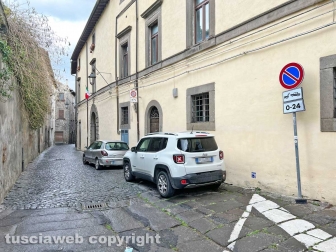 La pattumiera di palazzo di Vico