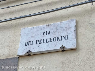 La pattumiera di palazzo di Vico