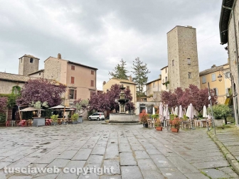 La pattumiera di palazzo di Vico
