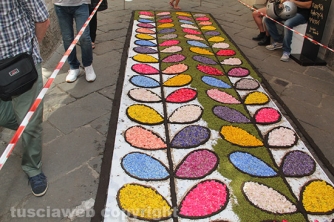 La pioggia rovina l\'infiorata