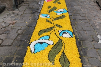 La pioggia rovina l\'infiorata