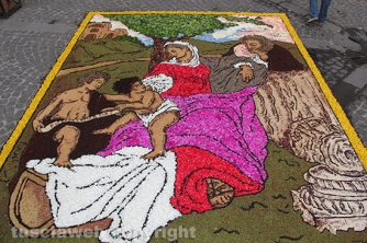 La pioggia rovina l\'infiorata