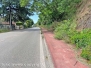 La pista rossa sommersa dall'erba alta