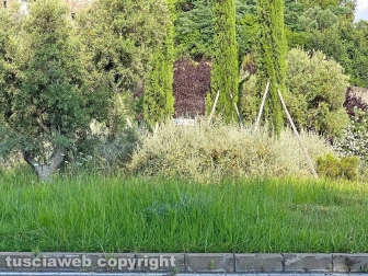La pista rossa tosata