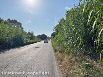 La pista rossa tosata
