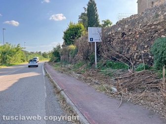 La pista rossa tosata