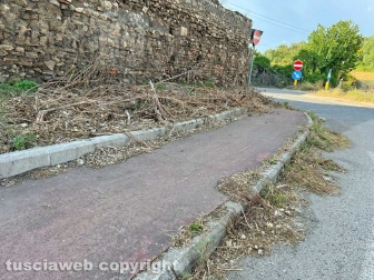 La pista rossa tosata