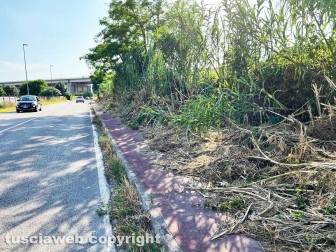 La pista rossa tosata