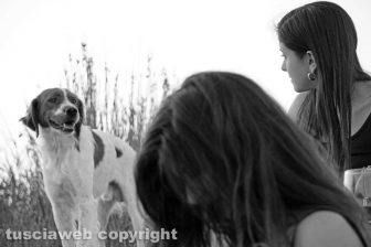 La pozza segreta di Castel d'Asso