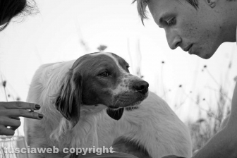 La pozza segreta di Castel d'Asso