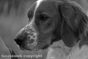 La pozza segreta di Castel d'Asso