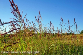 La pozza segreta di Castel d'Asso