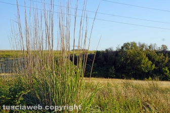 La pozza segreta di Castel d'Asso