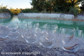 La pozza segreta di Castel d'Asso