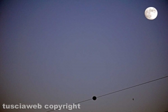 La pozza segreta di Castel d'Asso