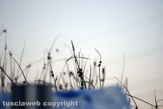 La pozza segreta di Castel d'Asso