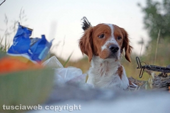 La pozza segreta di Castel d'Asso