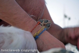 La pozza segreta di Castel d'Asso