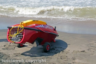 Tarquinia - La presentazione del Piano collettivo di salvataggio