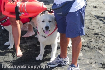 Tarquinia - La presentazione del Piano collettivo di salvataggio