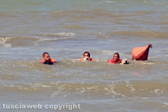 Tarquinia - La presentazione del Piano collettivo di salvataggio