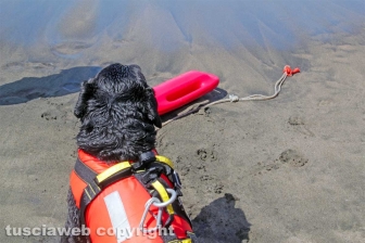 Tarquinia - La presentazione del Piano collettivo di salvataggio